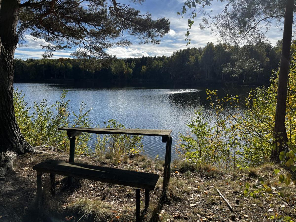 Ferienwohnung Am See Dillich - Ruhige Lage - Eigener Garten - Direkt Neben Einem Natursee Borken  Eksteriør billede