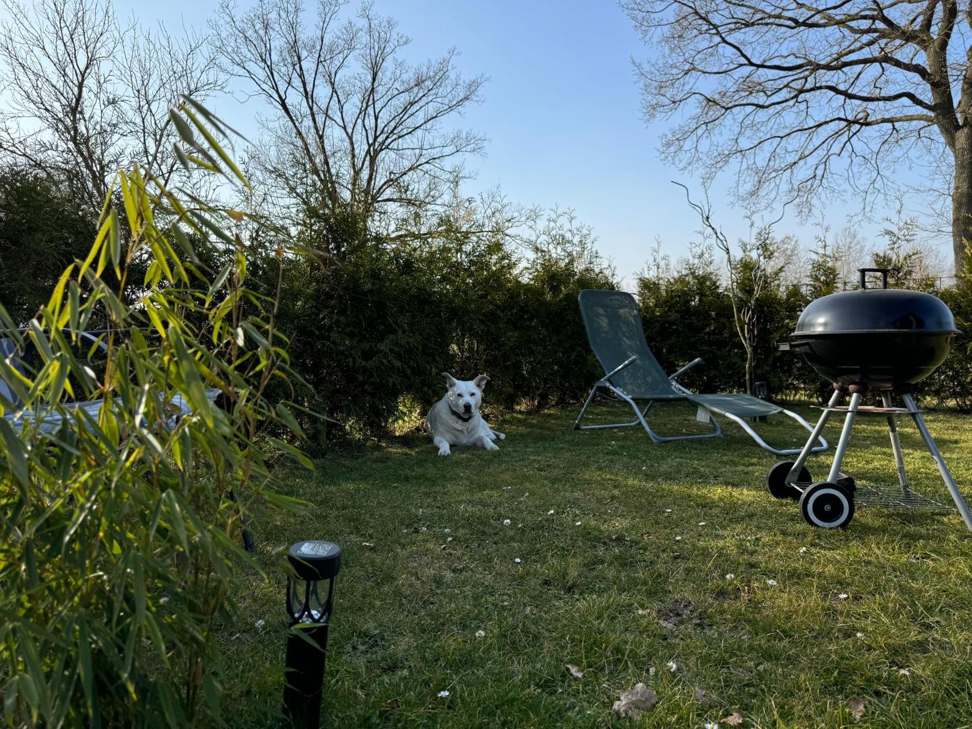 Ferienwohnung Am See Dillich - Ruhige Lage - Eigener Garten - Direkt Neben Einem Natursee Borken  Eksteriør billede