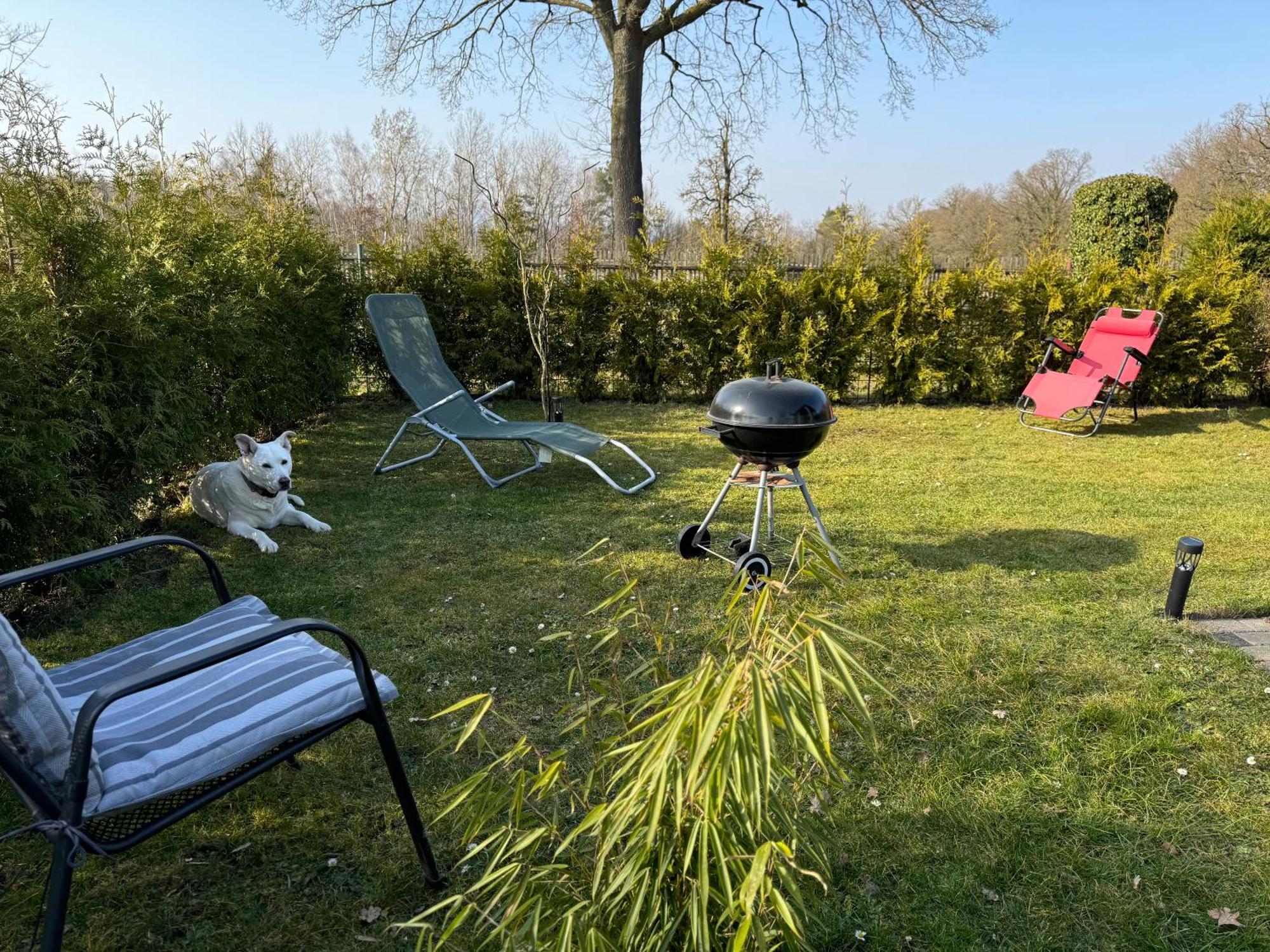 Ferienwohnung Am See Dillich - Ruhige Lage - Eigener Garten - Direkt Neben Einem Natursee Borken  Eksteriør billede